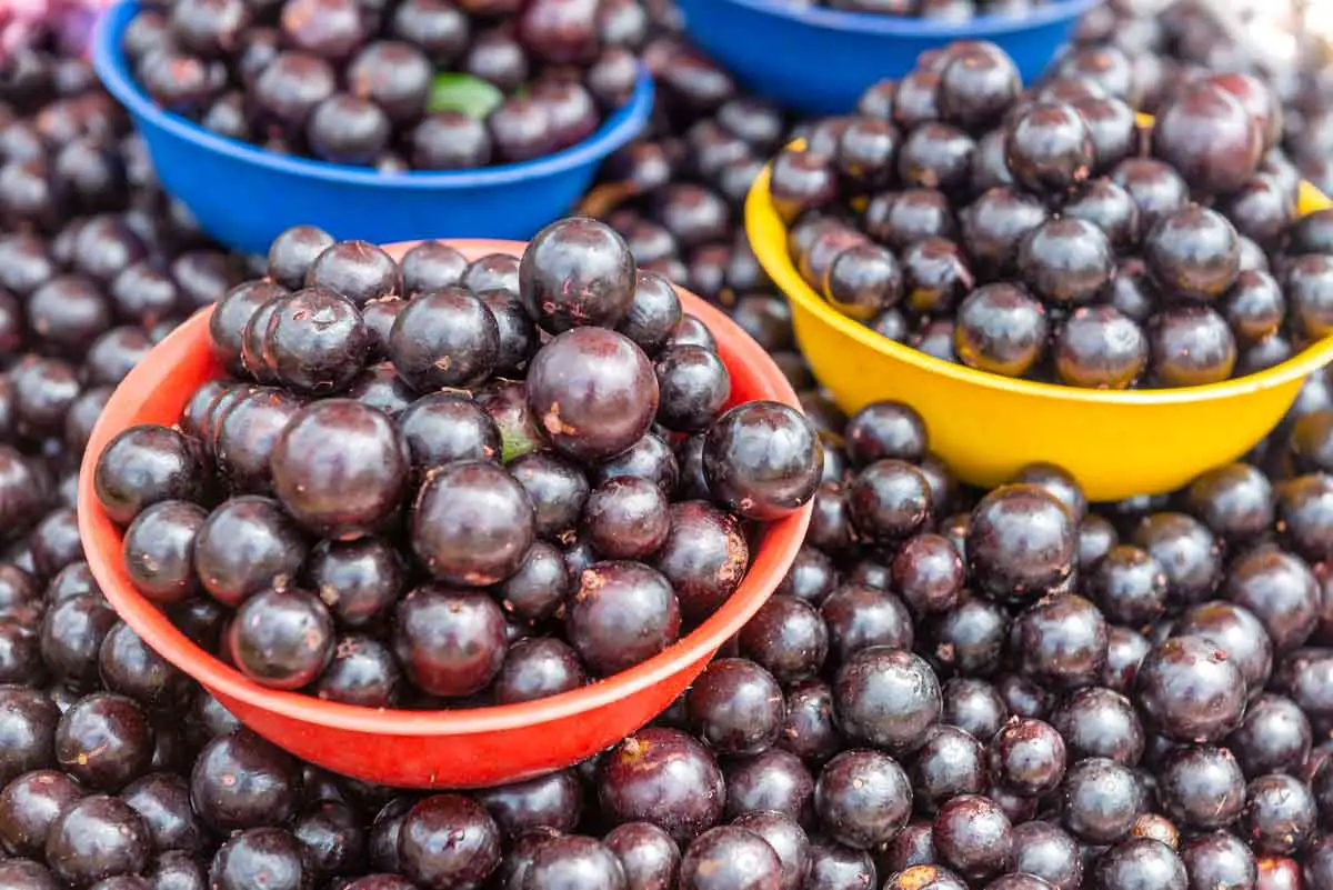 Brazillian fruit jabuticaba at a street market