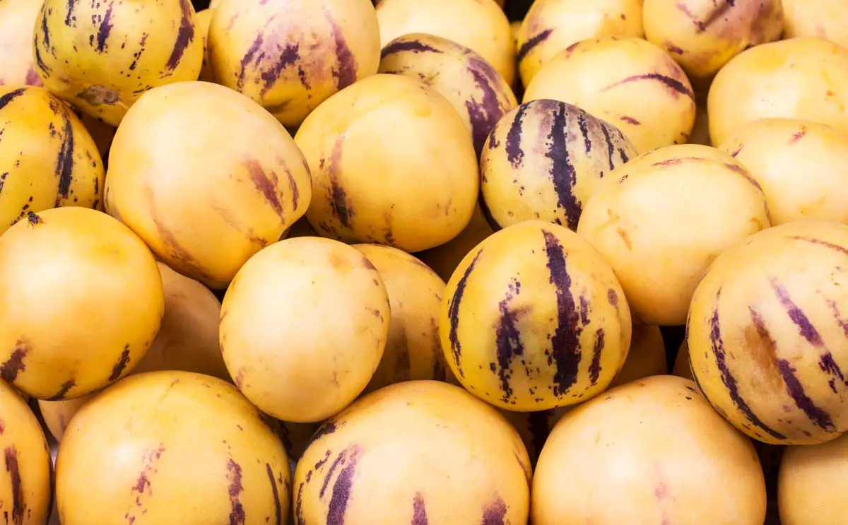 Pepino melons in a Peruvian market
