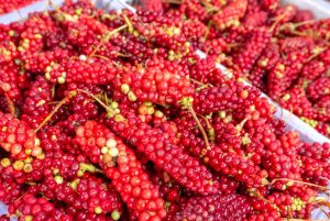 Schisandra chinensis or five flavor berries being sold at Shangri La wet market in Deqen, Yunnan, China.