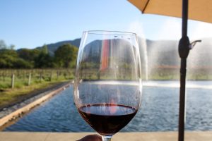 Glass of red wine at Alpha Omega winery in Napa Valley, California