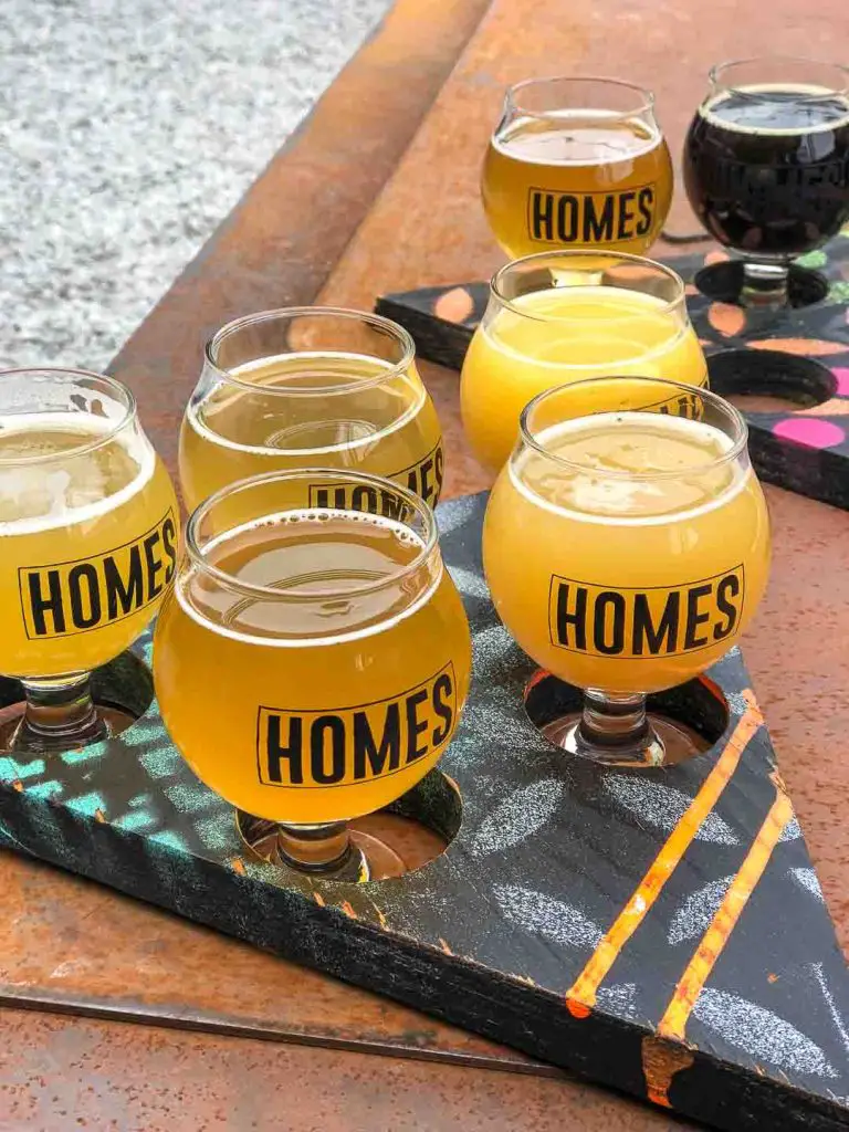HOMES Brewery flight of craft beers in Ann Arbor, Michigan, USA