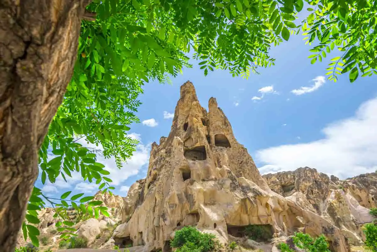 Leaves of a tree frame a church carved into volcanic rock at the Göreme Open-Air Museum in Turkey (Türkiye)