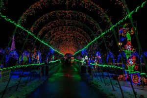 Christmas Lights in Duluth, Minnesota, during the winter season on Lake Superior Shores