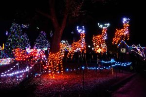 Christmas lights display of Santa's sleigh and reindeer at Wild Lights at the Detroit Zoo