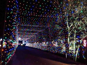 Drive-thru Christmas lights tunnel at "Reflections in the Park" holiday event in Dubuque, Iowa