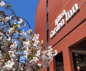 Hilton Garden Inn Portland Downtown Waterfront hotel sign with spring blossoms in the foreground
